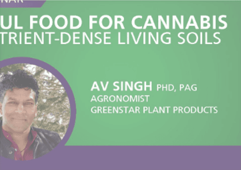 ALL ABOUT THE SOUL FOOD FOR CANNABIS: NUTRIENT-DENSE LIVING SOILS – AV SINGH PHD, PAG